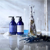 Biotin + Hair Treatment - Bella Tokyo